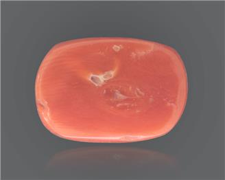 Red Coral (Moonga) Natural Certified 6.66 Ratti ( 84754 )